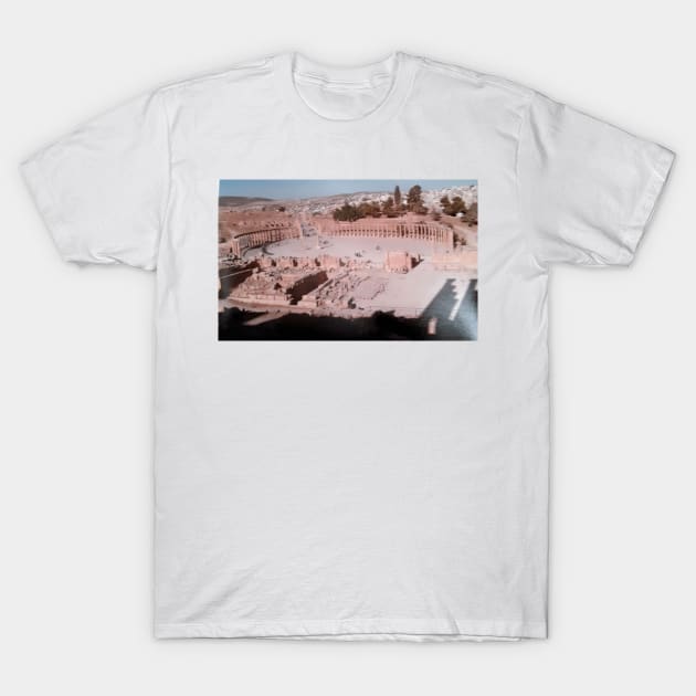 The ancient city of Jerash in Jordan T-Shirt by allaboutpugdogs 
